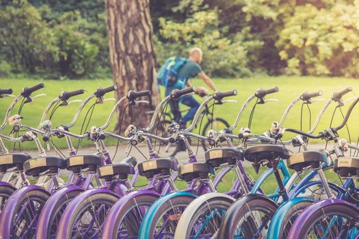 Row of bikes in rental agency, city mobility