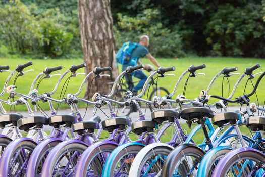 Row of bikes in rental agency, city mobility