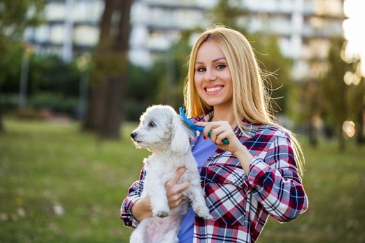 Beautiful woman combing her Maltese dog in the park.