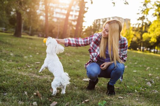 Beautiful woman is playing with her Maltese dog in the park.