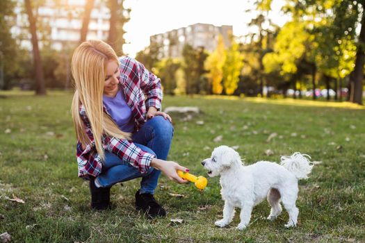 Beautiful woman is playing with her Maltese dog in the park.