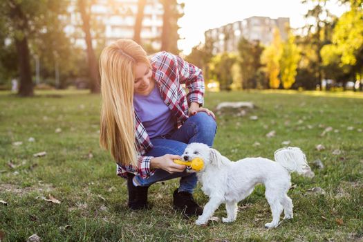 Beautiful woman is playing with her Maltese dog in the park.