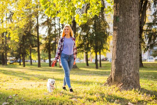 Beautiful woman walking with her Maltese dog in the park.