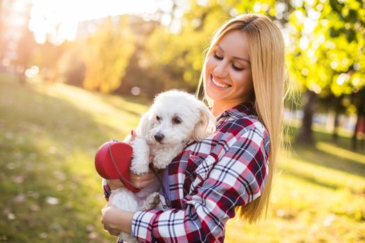 Beautiful woman spending time with her Maltese dog outdoor.