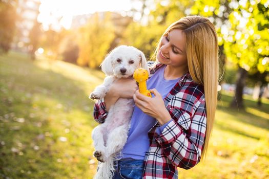 Beautiful woman is playing with her Maltese dog in the park.