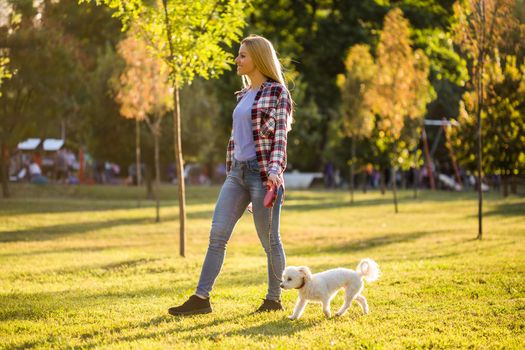 Beautiful woman walking with her Maltese dog in the park.