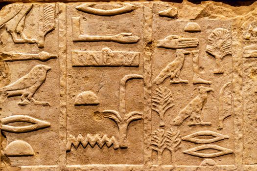 detailed background of Ancient Egypt symbols carved on sandstone wall