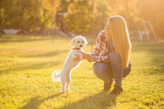 Beautiful woman spending time with her Maltese dog outdoor.