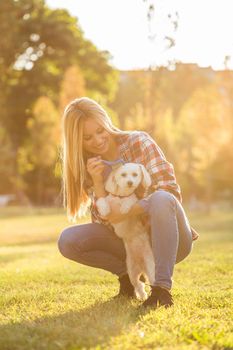 Beautiful woman combing her Maltese dog in the park.