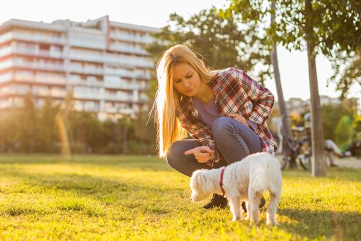 Woman scolding her Maltese dog while they spending time in the park.