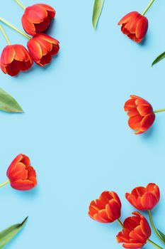 Mother's day background concept. Top view design of holiday greeting red tulip flower bouquet on bright blue table with copy space.