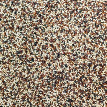 Seeds of uncooked quinoa. Mixed red, white and black quinoa as an abstract background texture. Seeds of uncooked quinoa. Superfood.