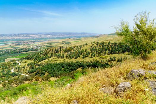 View of the landscape of the Lower Jordan River valley. Northern Israel