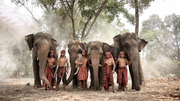 Portrait of Elephant and mahout in the forest.