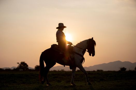 cowboy on horseback against a beautiful sunset, cowboy and horse at first light,mountain, river and lifestyle with natural light background	
