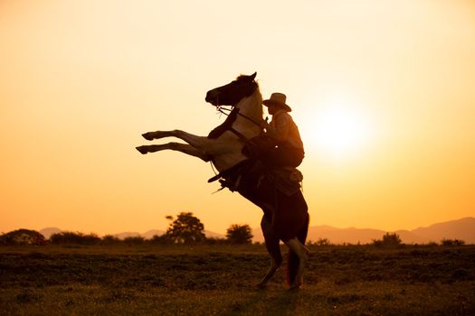 cowboy on horseback against a beautiful sunset, cowboy and horse at first light,mountain, river and lifestyle with natural light background	
