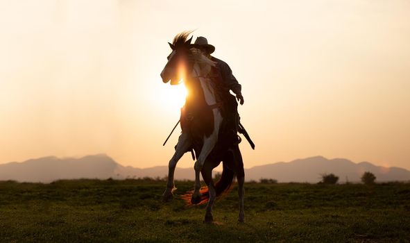 cowboy on horseback against a beautiful sunset, cowboy and horse at first light,mountain, river and lifestyle with natural light background	
