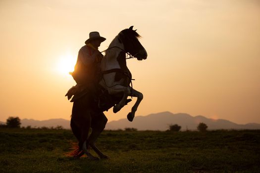 cowboy on horseback against a beautiful sunset, cowboy and horse at first light,mountain, river and lifestyle with natural light background	
