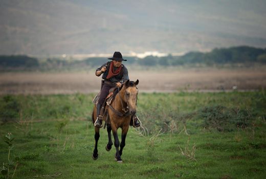 cowboy on horseback against a beautiful sunset, cowboy and horse at first light,mountain, river and lifestyle with natural light background	
