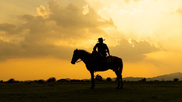 cowboy on horseback against a beautiful sunset, cowboy and horse at first light,mountain, river and lifestyle with natural light background	
