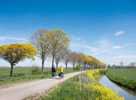 couple rides bicycle in dutch countryside under blue sky in spring