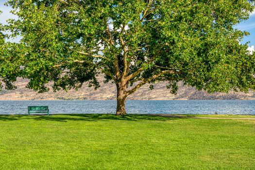 Lonely bench on the shore with lake and mountains overview under the crown of big chestnut tree