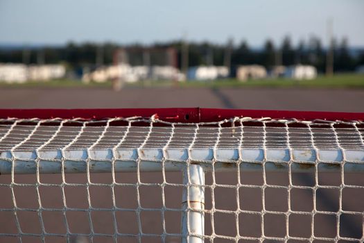 Outside or roadside hockey net with park in the background