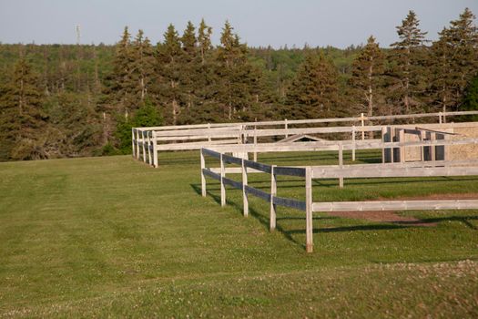 Grassy lawn with a fenced in wooden section for dogs to run 