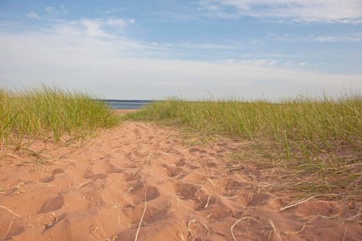 The grassy path down to a beach on the east coast