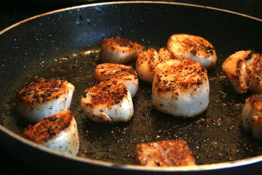Fried cooked scallops seasoned with salt pepper and spice