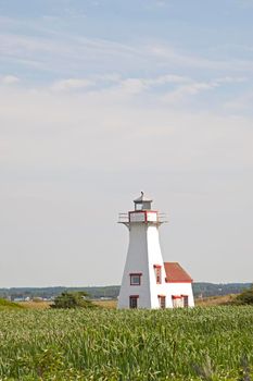 July 27, 2019 - French River, PEI: looking out to the iconic New London Lighthouse in PEI 