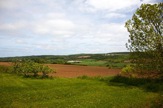 Farmland, hillside with apple trees and rolling canadian rural vistas 