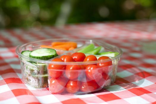 A lovely checkered picnic table with a tray of cut vegetables looking summery and fresh 