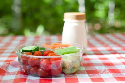 A tray of cut vegetables with a yummy dip is ready for eating at a picnic 