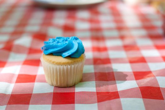 A sweet delicious cupcake sits on a checkered picnic table cloth