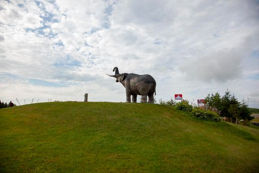 August 18, 2019 - Stewiacke, Nova Scotia - looking up to the local Stewiacke landmark of a large mastadon replica near the petro canada gas station 