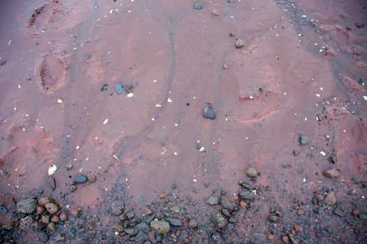 footprints, seashells and rocks on the low tide of the ocean 