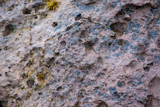 side of a cliff with small holes in it, worn away by the ocean over time 