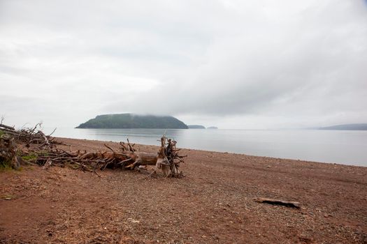 a piece of old wood on the beach on a gloomy day with islands behind