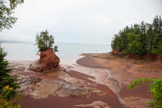  a nubble of land remains at low tide against the cliff in the bay of fundy 