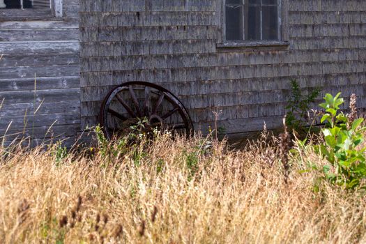 a rusted old cart wheel sitting against the side of an old barn building with tall grass 