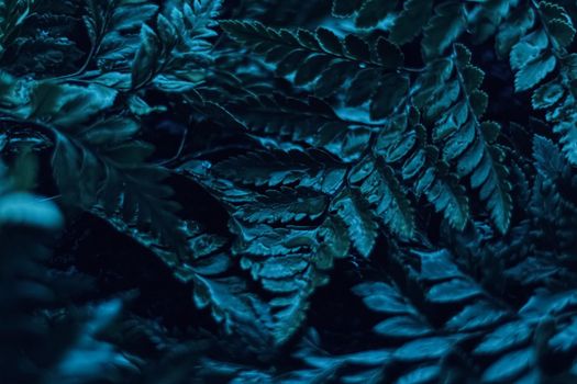 Blue plant leaves at night as surreal botanical background, minimal design backdrop