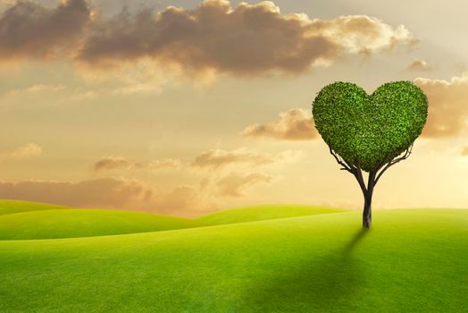 Green field with heart shape tree on sunset background.