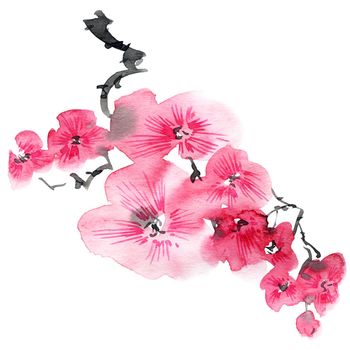 Watercolor and ink illustration of blossom sakura tree with pink flowers and buds. Oriental traditional painting in style sumi-e, u-sin and gohua. Tree branch on white background.