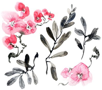 Watercolor illustration of pink flowers, buds and leaves. Oriental traditional painting in style sumi-e, u-sin and gohua. Set of leaves and flowers on white background.