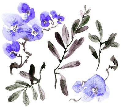 Watercolor illustration of blue flowers, buds and leaves. Oriental traditional painting in style sumi-e, u-sin and gohua. Set of leaves and flowers on white background.