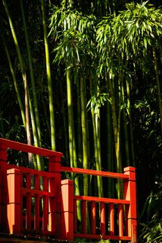 Red bridge and bamboo, Japanese garden detail