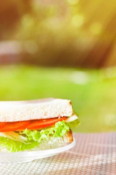 Vegetarian low carb sandwich - healthy diet, homemade and eating outside concept. Enjoy a well-balanced lunch