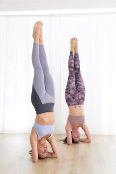 Portrait of active sporty young women practicing standing on head yoga pose in yoga studio. Healthy active lifestyle, working out indoors in gym