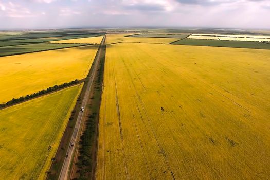 Aerial view of the natural landscape with a view of the field with grains.